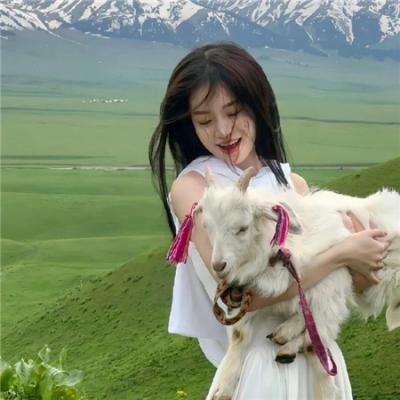 米老鼠之猎犬